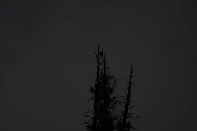 DSC_0171 (Large).JPG